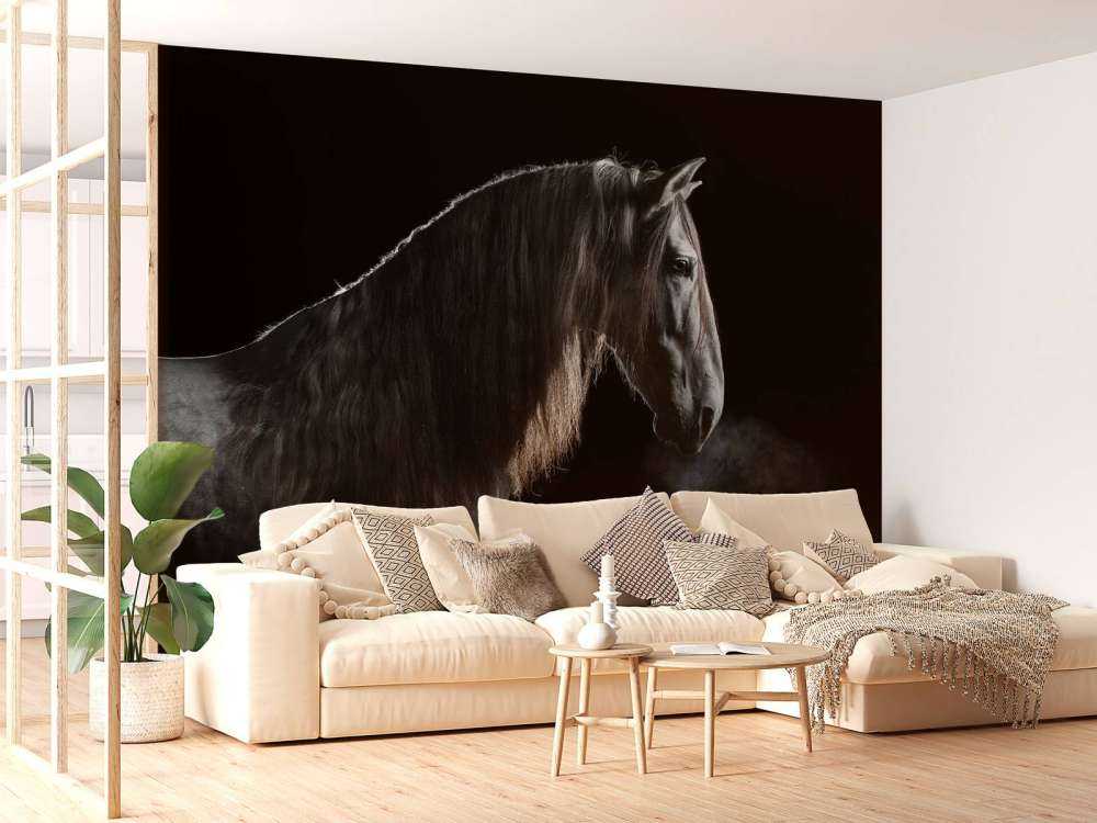 Stampo con sfondo nero