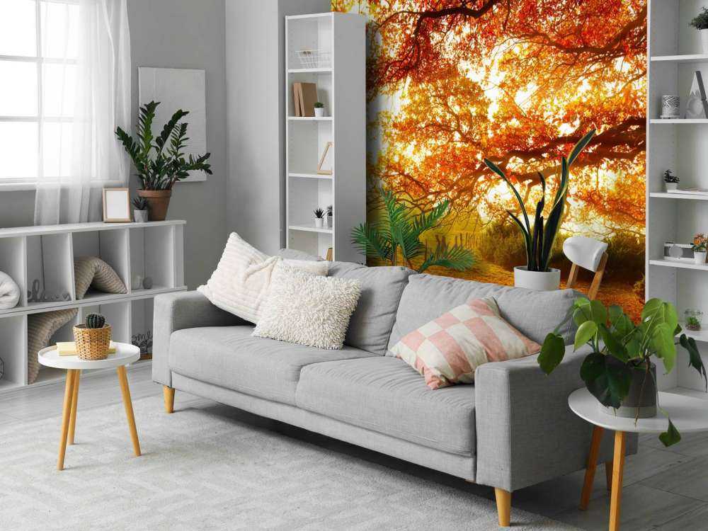 Paesaggio autunnale con bosco e prato