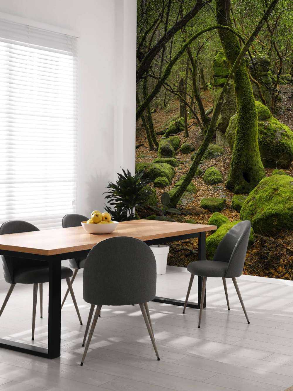 Alberi e pietre di muschio