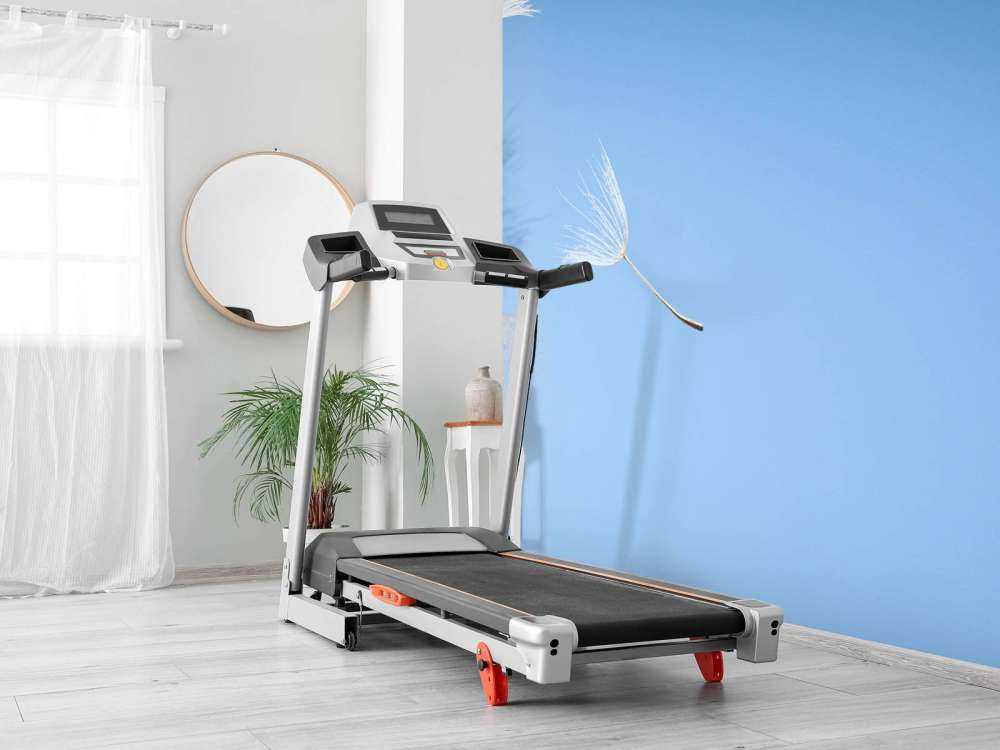 Flying fluff dente di leone volante