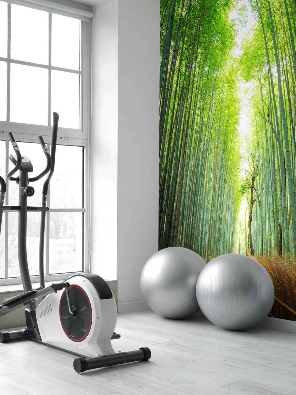 Sentiero attraverso il bambù