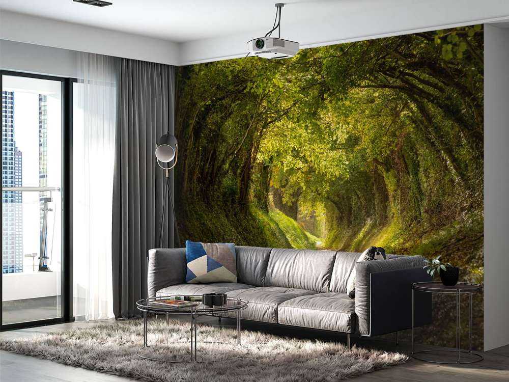 Tunnel dell'albero Halnaker