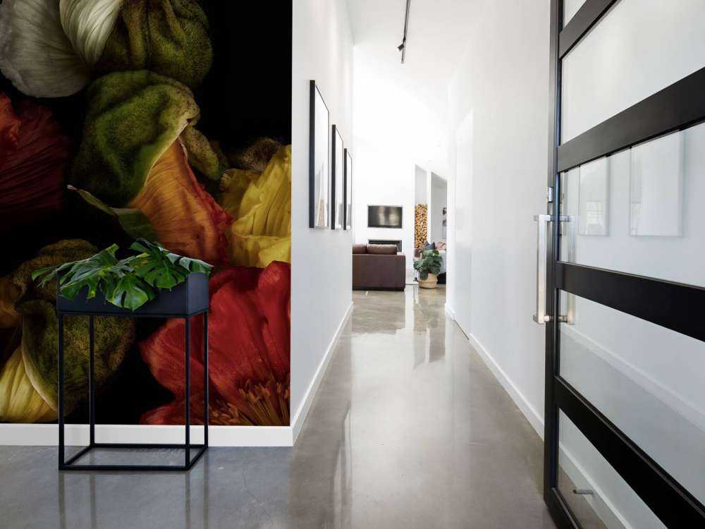 Papaveri ravvicinati