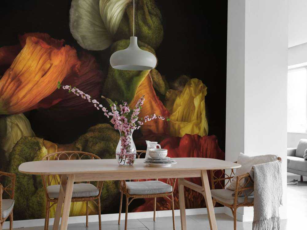 Papaveri compositi in erba