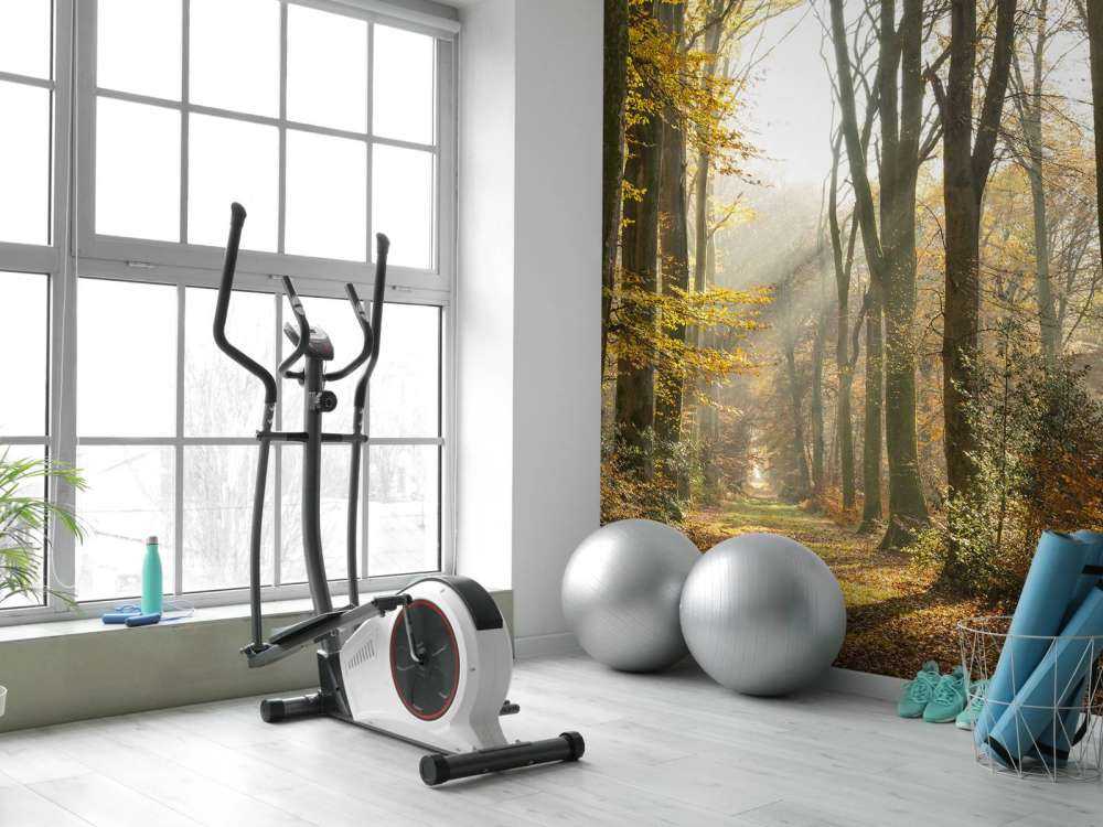 La foresta di Crécy