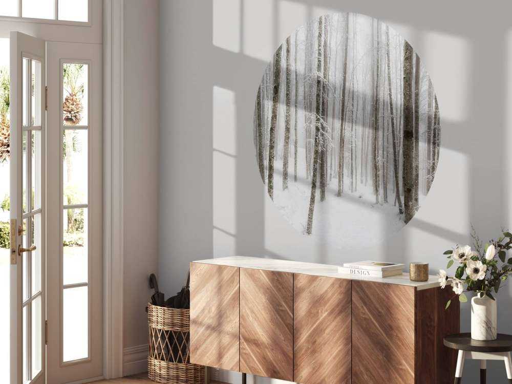 Foresta di faggio con neve