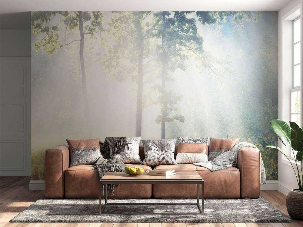 Una foresta misteriosa