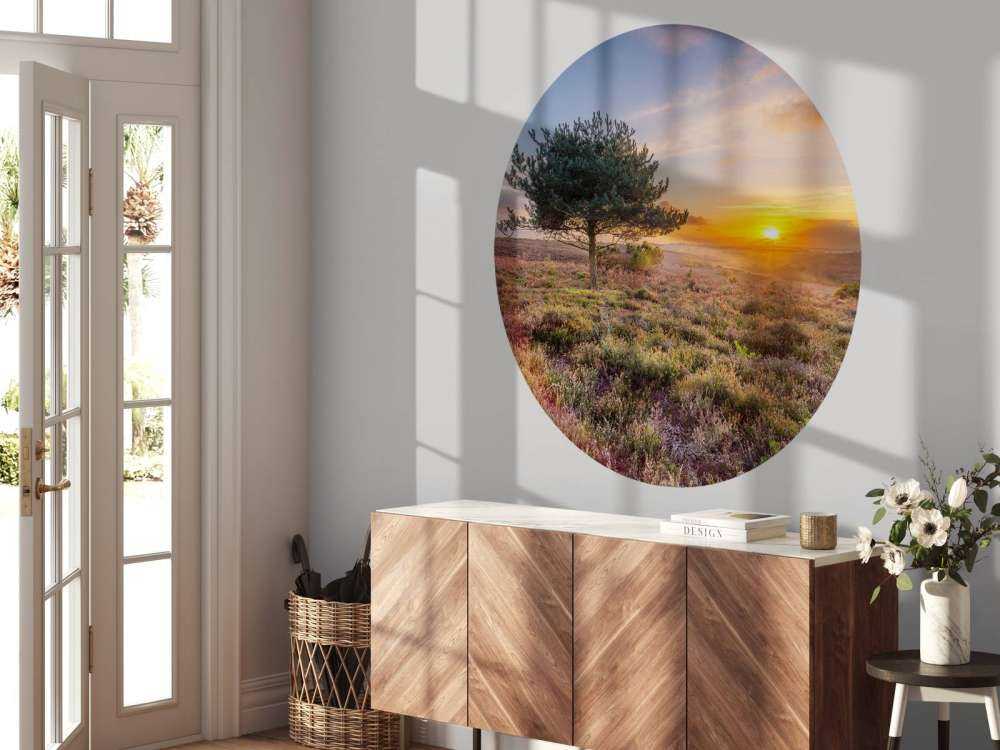 Tramonto sulla brughiera