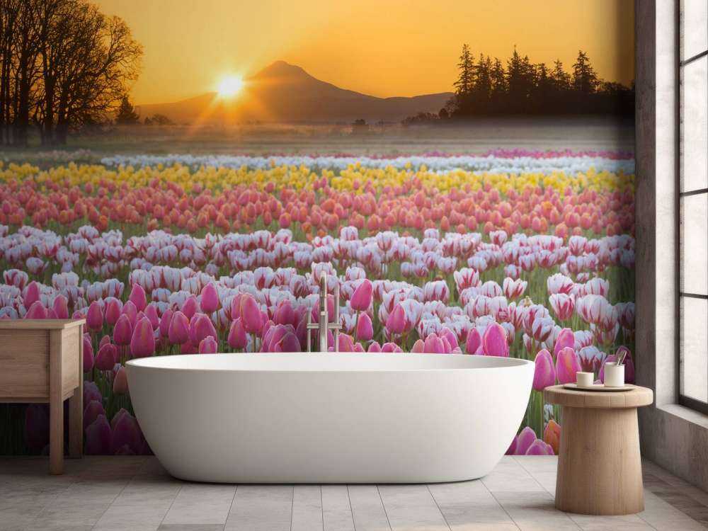 Campo di tulipani colorati