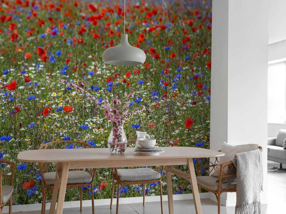 Campo pieno di papaveri