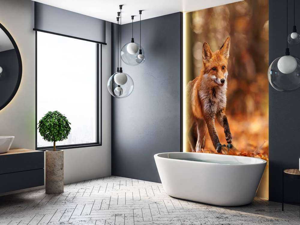 Colpi di Volpe Volo Autunnale