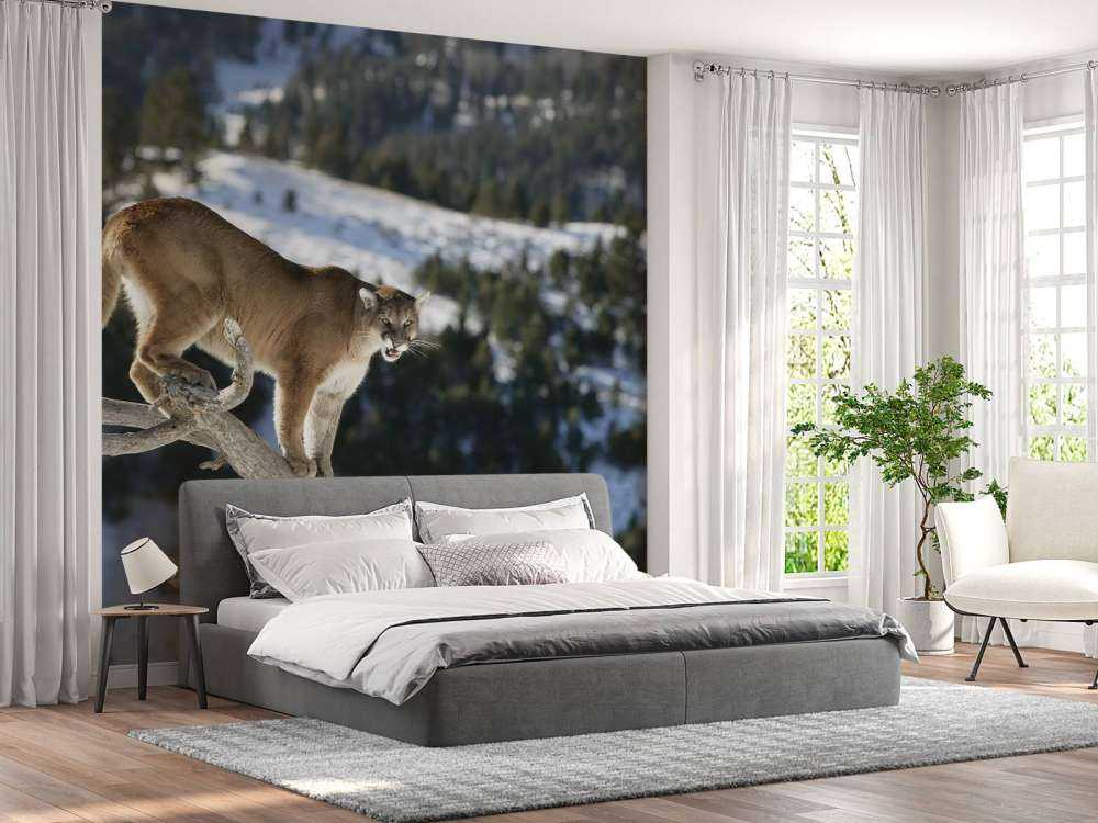 Leone di montagna su un albero morto