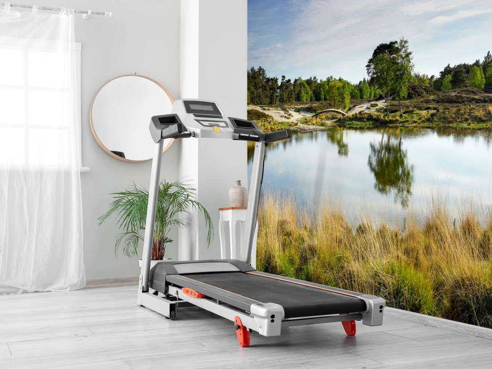 Un piccolo lago forestale nella zona brughiera 