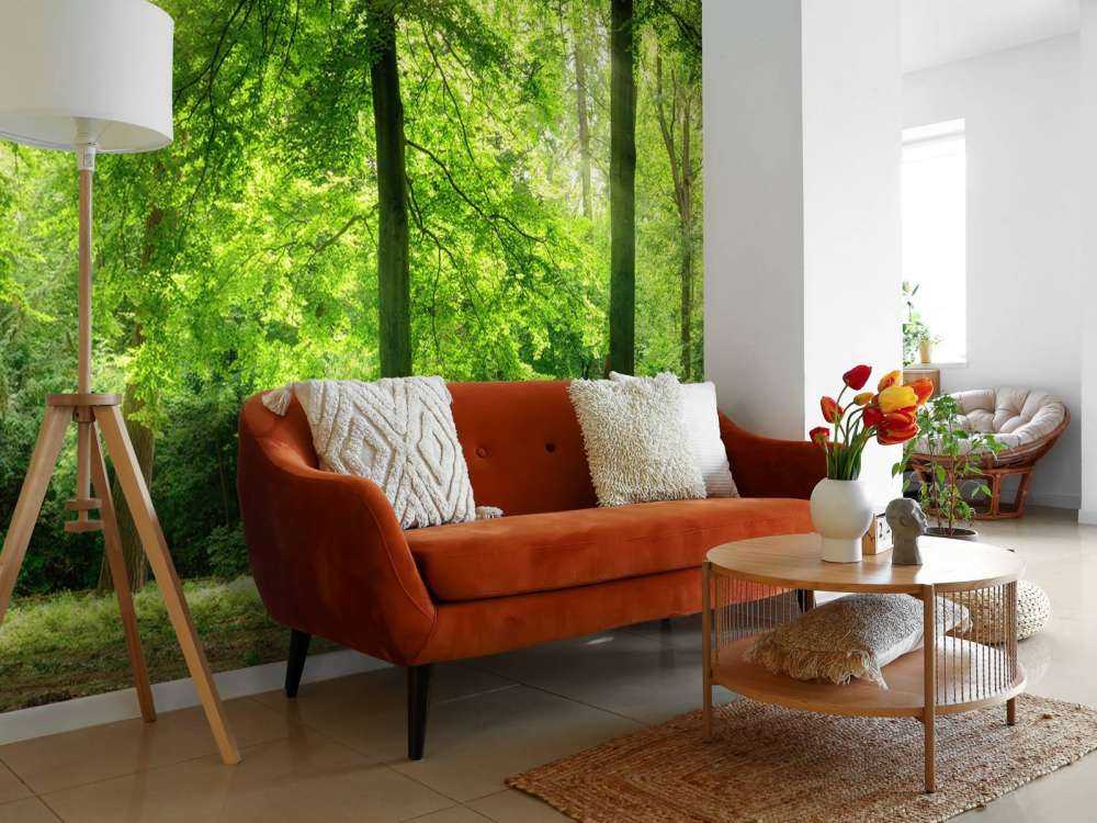 Foresta con nebbia leggera