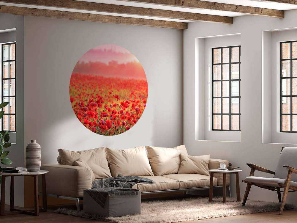 Campo pieno di papaveri