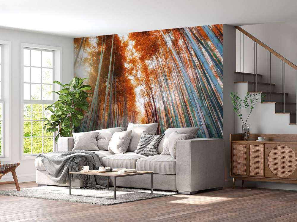 Autunno foresta di bambù