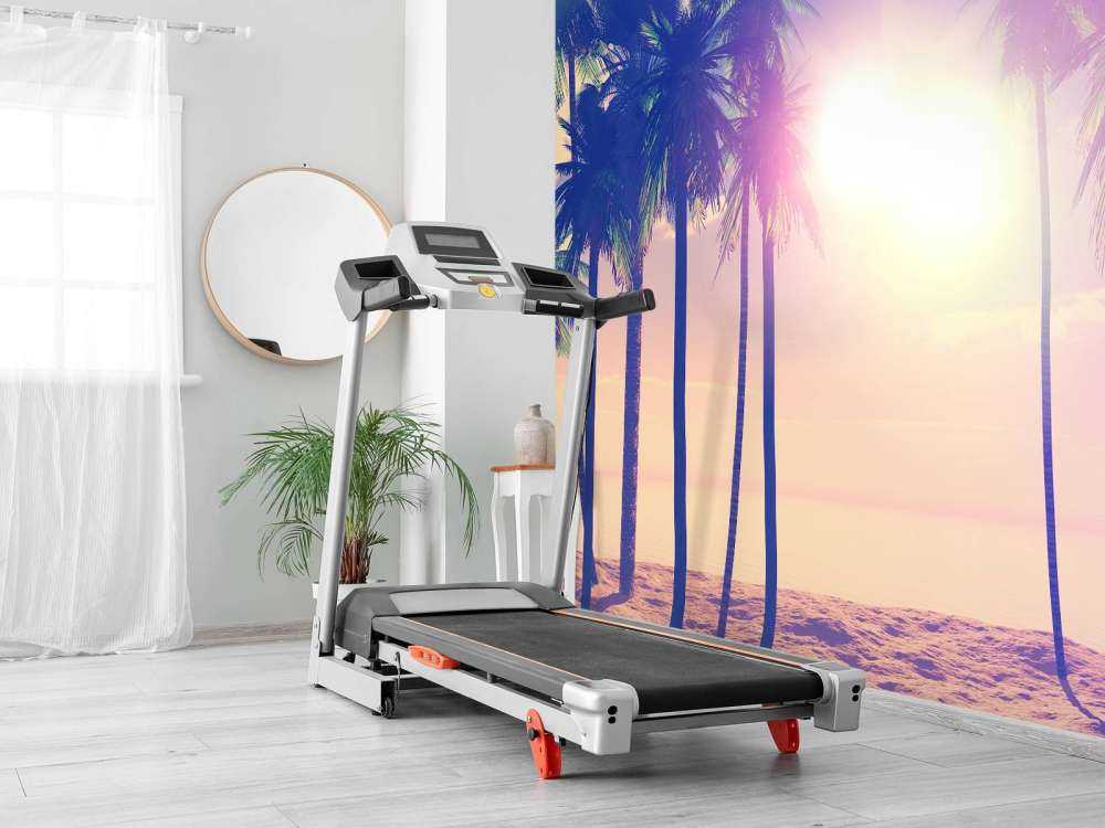 Palme d'epoca e oceano