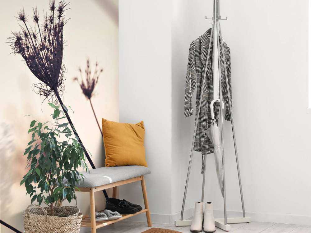 Silhouette di piante