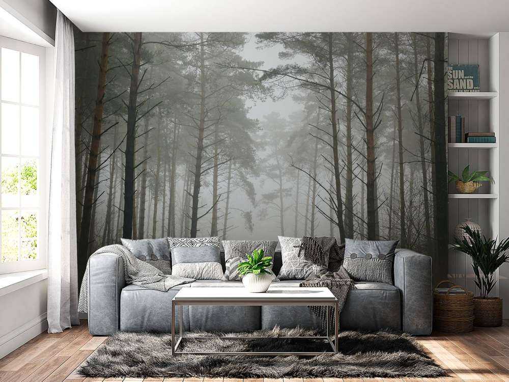 Sentiero nella foresta nebbiosa