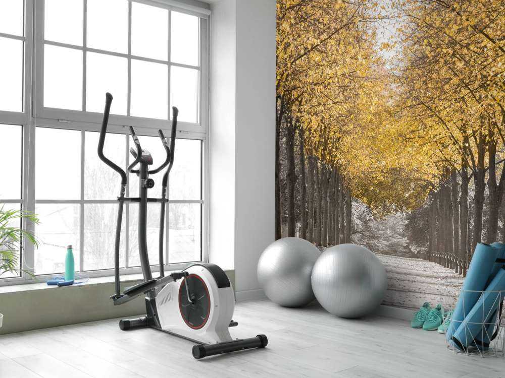 Sentiero tra gli alberi