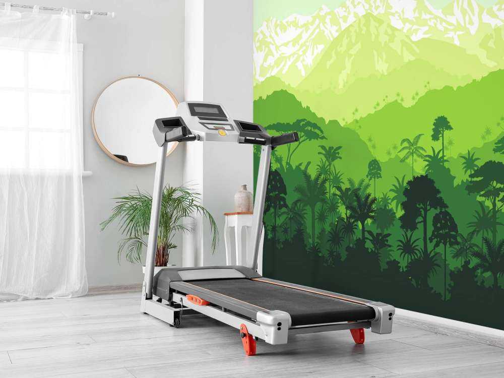 Alberi della giungla e alte montagne