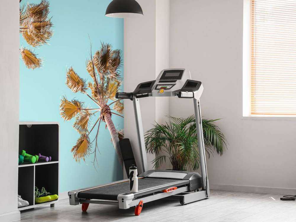 Palme e cielo azzurro