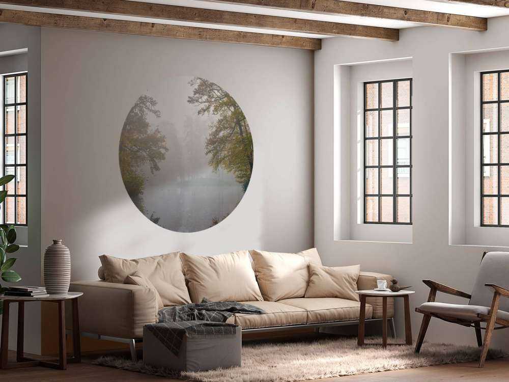 Stagno della foresta nella nebbia