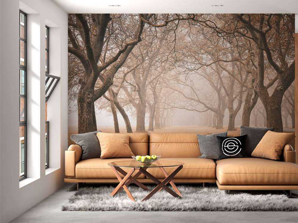 Fila di alberi secolari