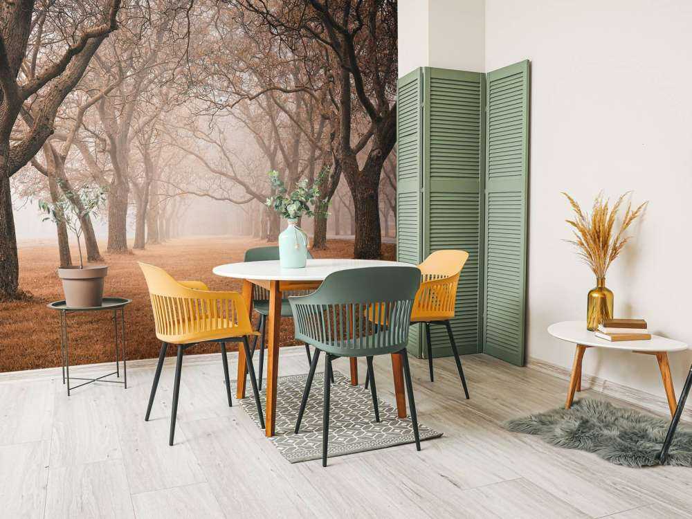 Fila di alberi secolari