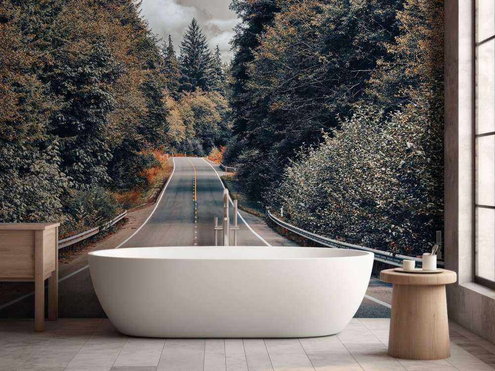 Foresta lungo una strada americana