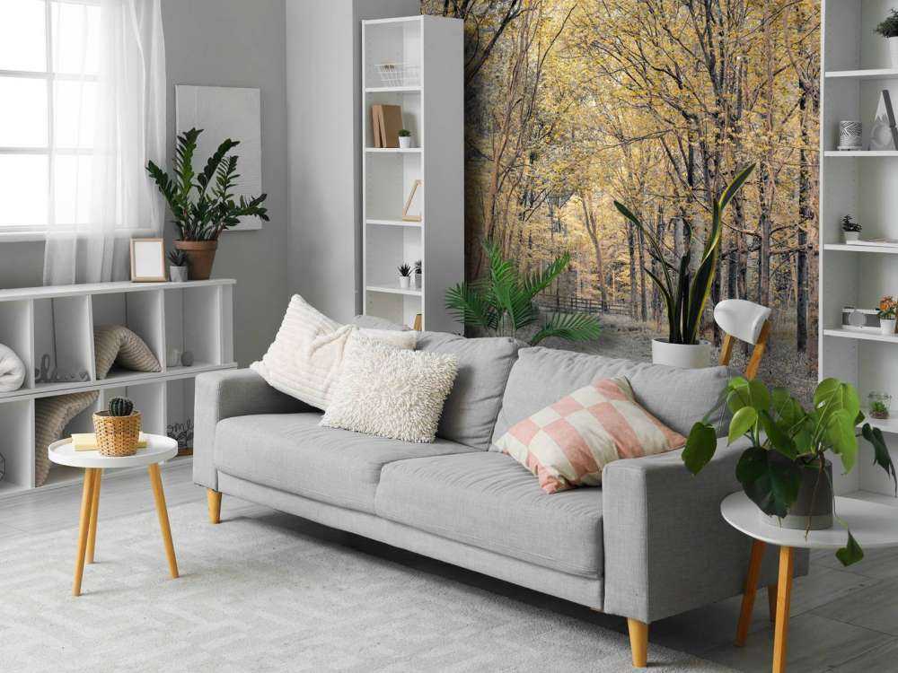 Strada forestale in autunno