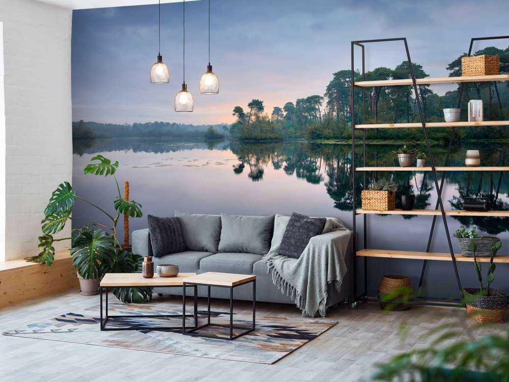 Riflessione nelle foreste all'alba