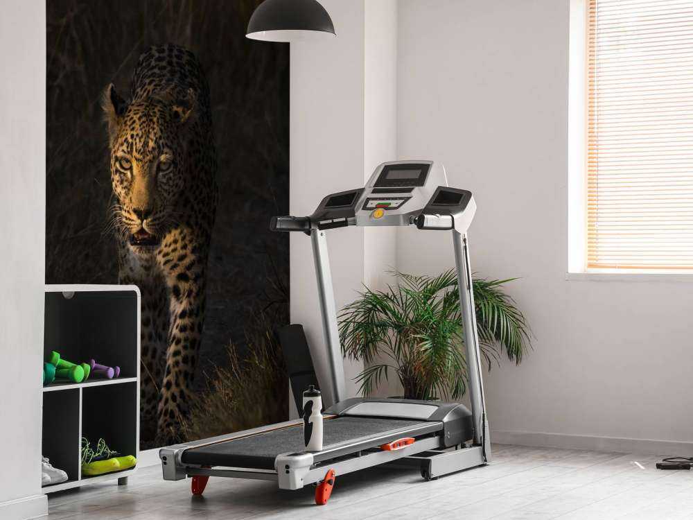 Leopardo con tramonto