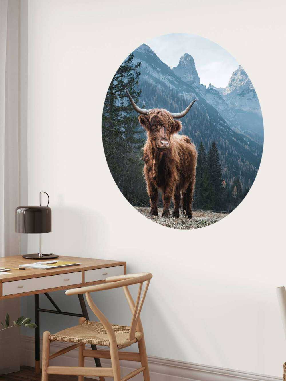 Highlander scozzese tra gli alberi