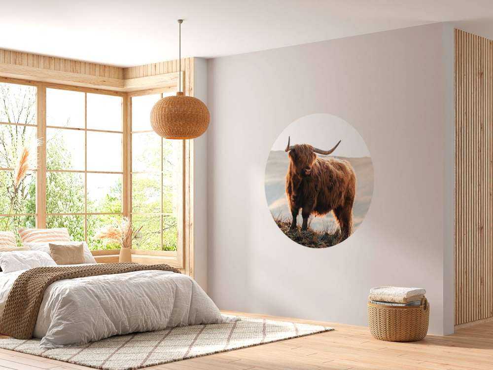 Highlander scozzese su una collina