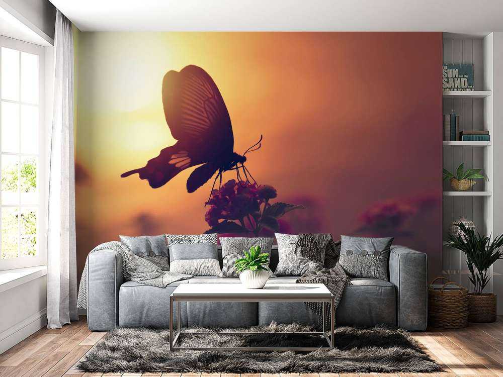 Farfalla con il tramonto