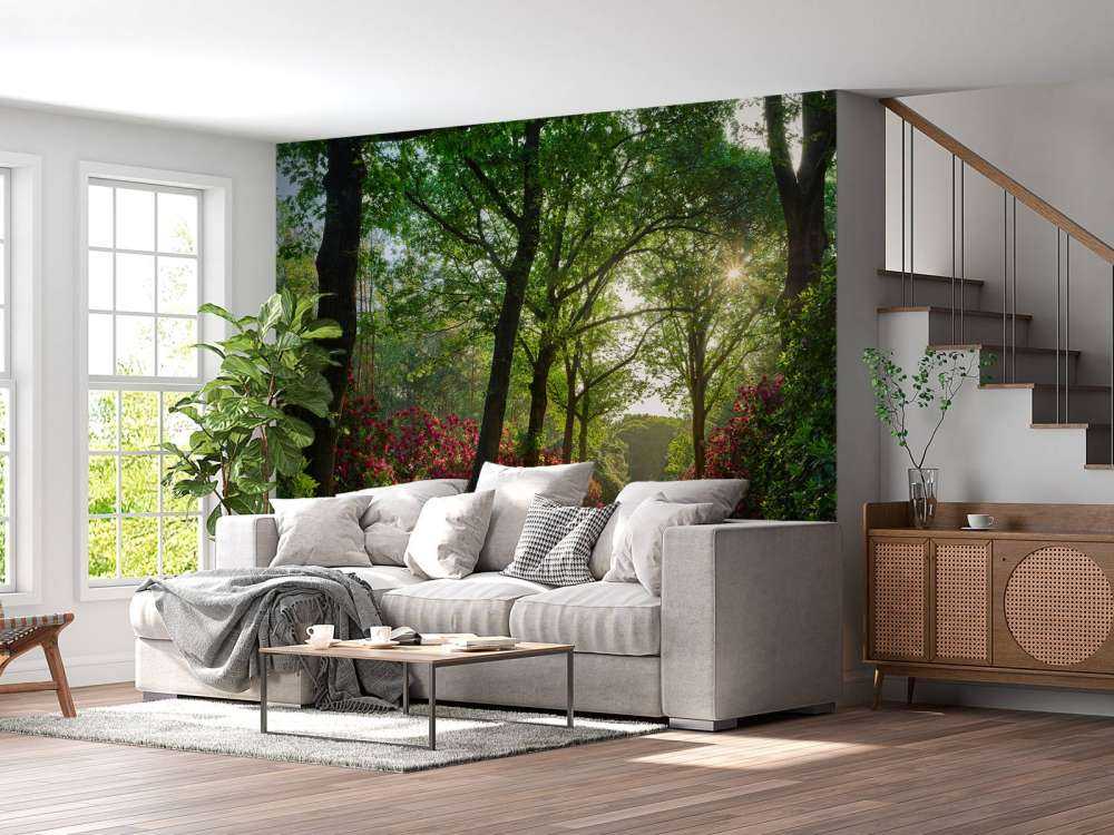 L'alba al sentiero con i rododendri