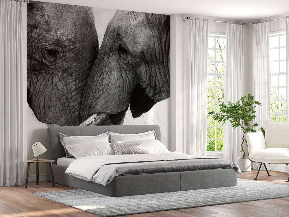 Foto carta da parati elefanti