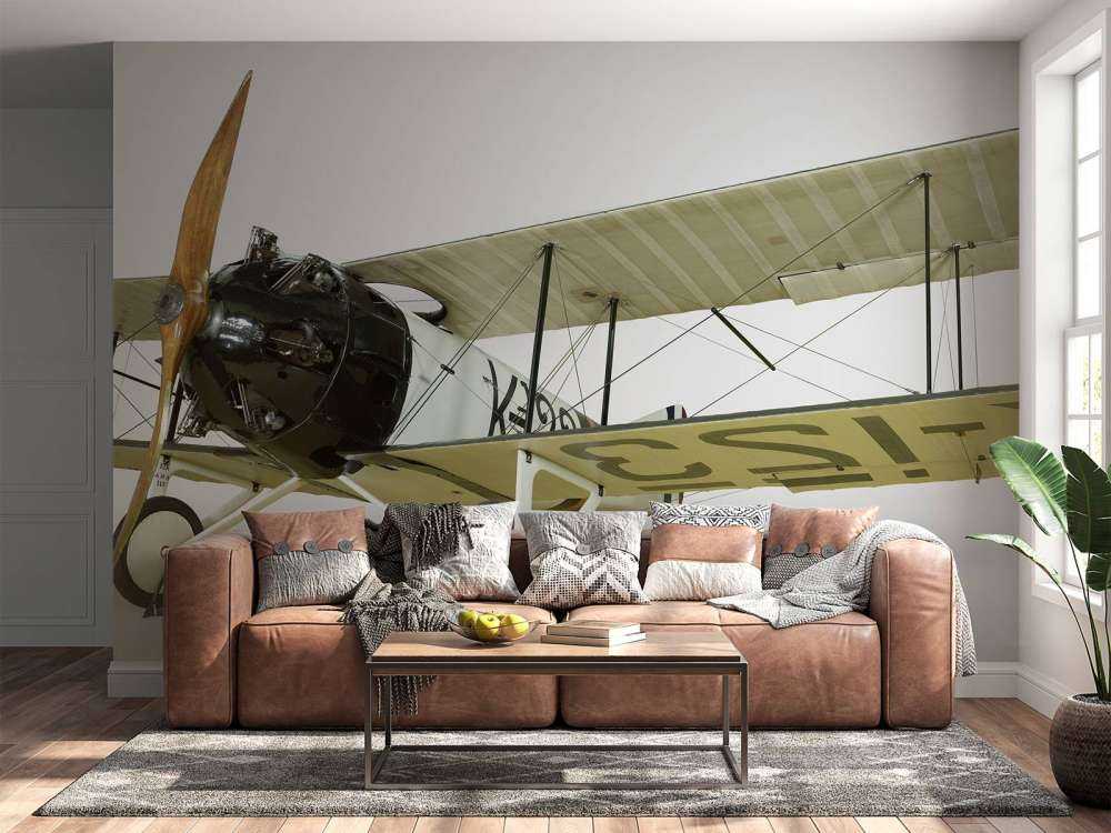 Vecchio aereo FK 23 Bantam