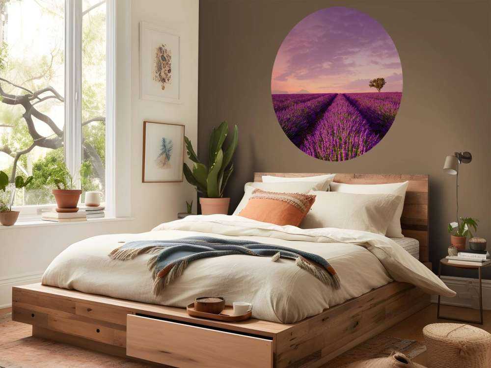 Campo di lavanda e mongolfiera