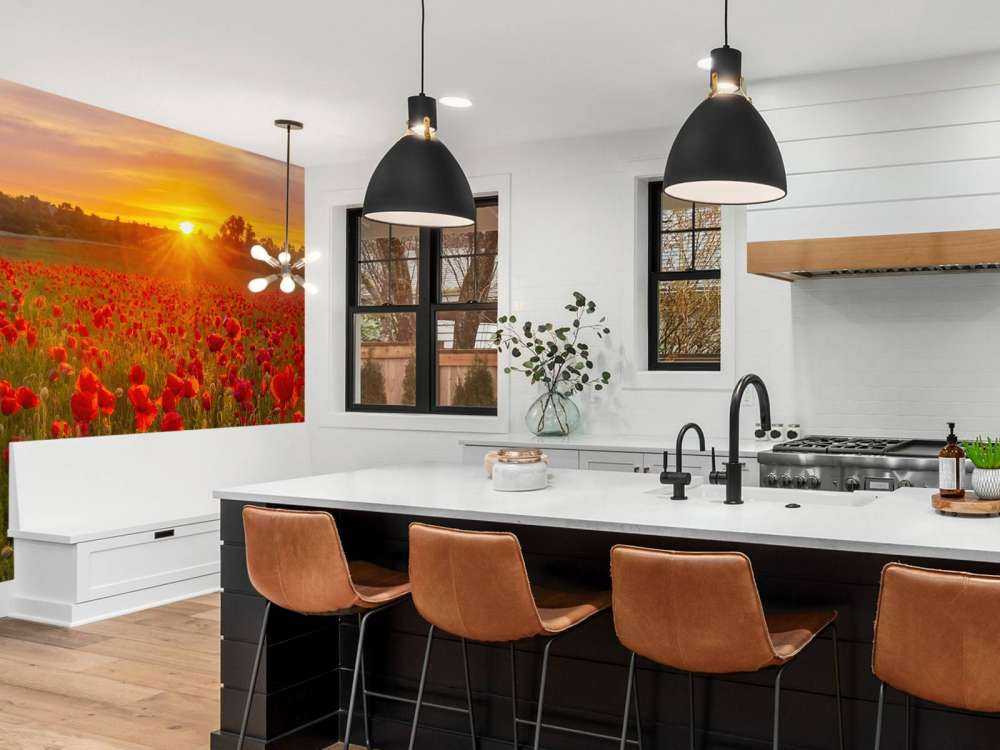 Campo di papaveri in fiore