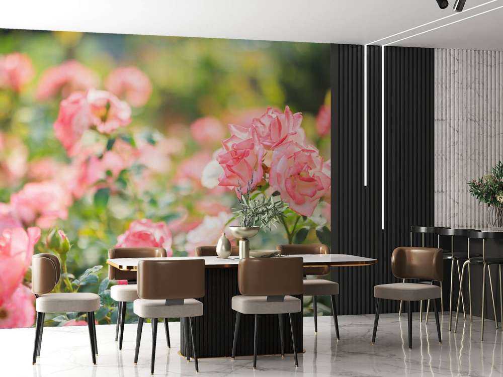 Rosa rosa chiaro cespuglio