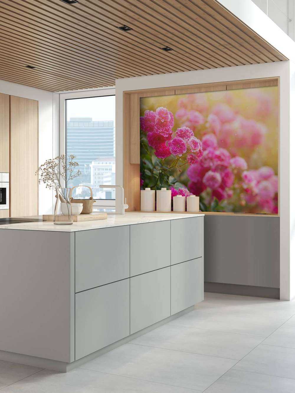 Cespugli di rose rosa