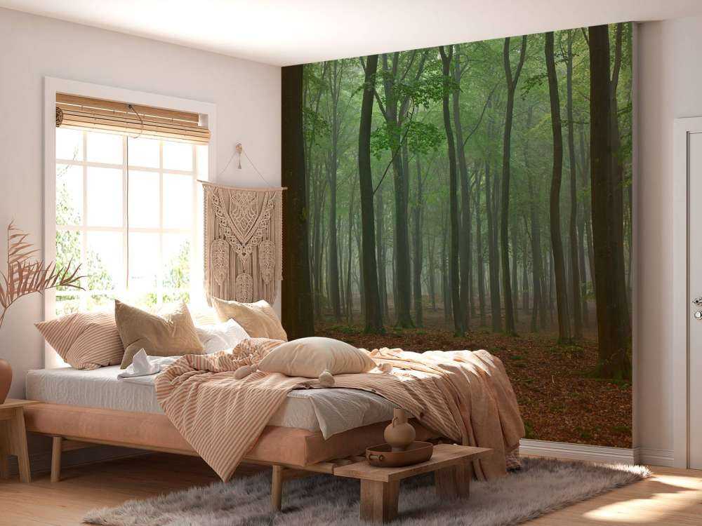 Nebbia nella foresta