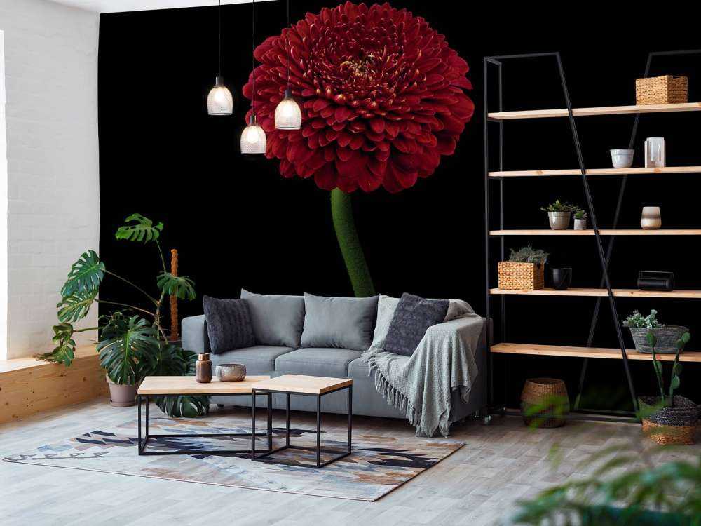 Fiore rosso su stelo