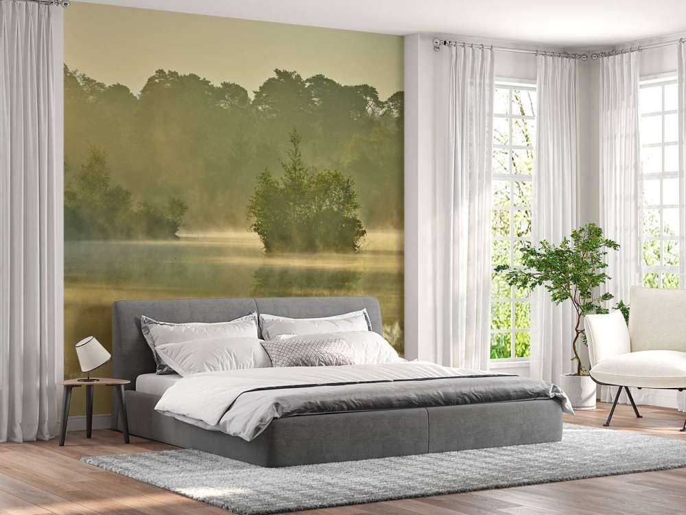 Nebulosa sopra un lago forestale