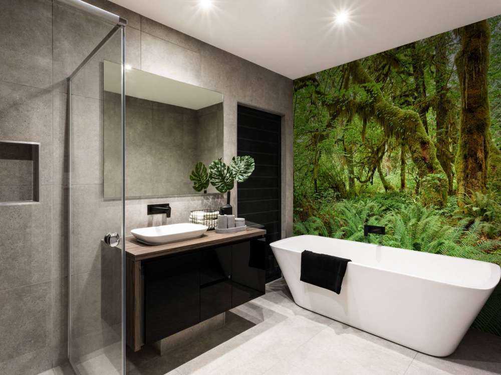 Felci in un vecchio bosco