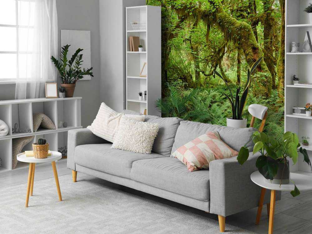 Felci in un vecchio bosco