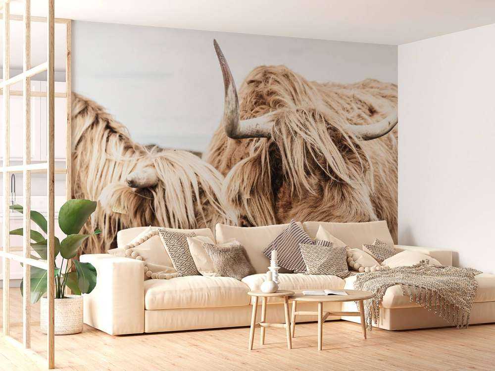 Due Highlander scozzesi