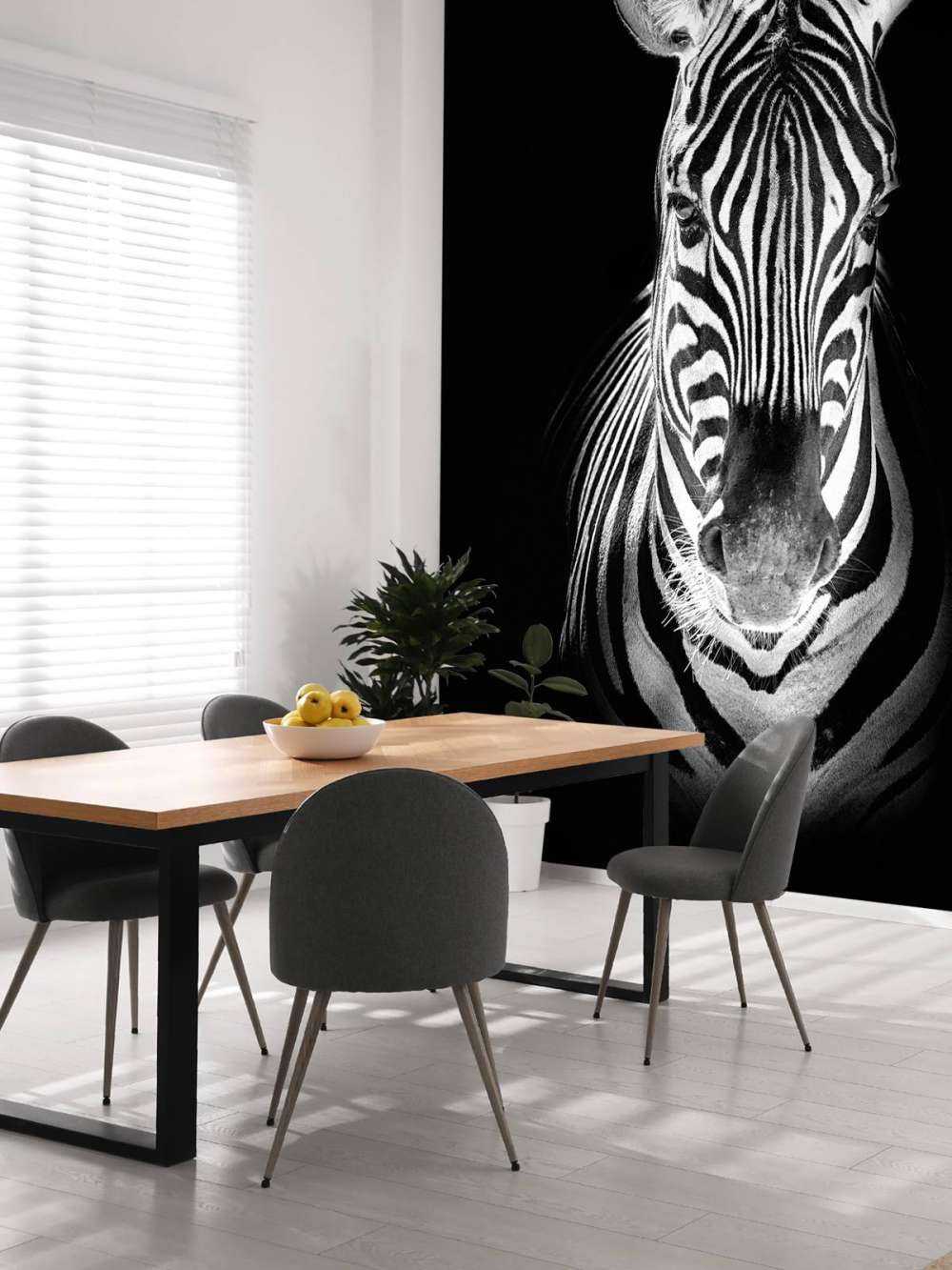 Close-up zebra in bianco e nero